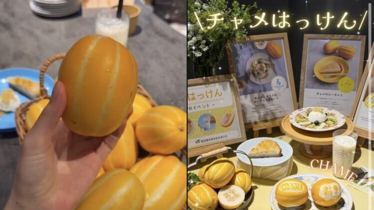 マクワウリの種で腹痛・下痢？…日本でも人気の「コリアンメロン」に