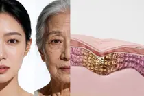 How Fast Do We Age? It May Depend on How Our Cells 
