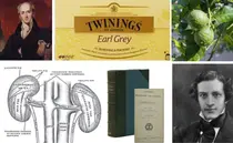 When ‘Earl Grey’ Became a Black Tea Brand, ‘Gray's Anatomy’ Became a Medical Symbol