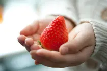 Cách tăng cường khả năng tự chữa lành của cơ thể: sử dụng thực phẩm để giảm viêm mãn tính