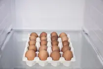 The Egg Container Panic: Is Your Refrigerator Truly at Risk of Bacterial Contamination?