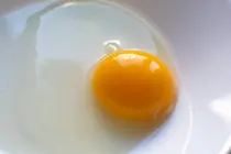 The 