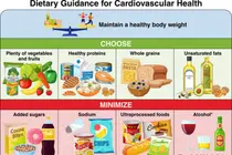 Why Did the American Heart Association Issue Nutrition Guidelines at Odds with the U.S. Government?