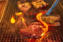 Should You Eat More Meat as You Age? The Link Between Animal Protein, IGF-1, and Cancer