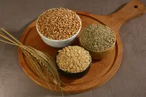 Ancient Grains, Modern Myths: Why the 'Whole' Matters More Than the Variety
