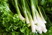 Stop Washing Your Lettuce: The Secret Storage Hack to Keep Greens Fresh for a Month