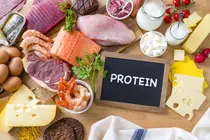 Curbing an Overactive Appetite: Why You Should Eat More Protein in the Morning