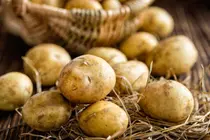 Why Fresh, In-Season Potatoes Sprout and Turn Green So Quickly