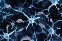 Amyloid Is Not the Only Culprit: GRK2 Protein Emerges as New Target in Alzheimer’s Fight