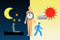 Kelola gula darah, cukup kurangi nasi? Jam tidur juga ikut menentukan