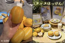 Graines de melon coréen : vraiment responsables des maux de ventre ? Les idées reçues autour du « Korean melon », aussi prisé au Japon