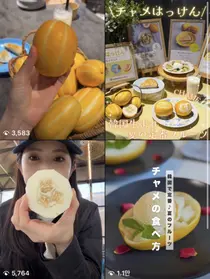 The Sweet Rise of the Korean Melon: Debunking the Myth Behind Its Seeds