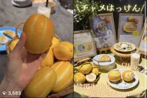 吃香瓜籽会闹肚子吗？日本也爱上的“韩国甜瓜”常见误区