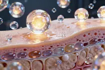 Beyond Animal Collagen: Plant-Derived Peptides Emerge as a Clean, Bioactive Alternative