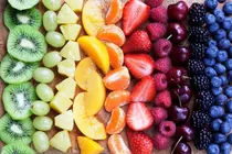 Protecting the Aging Brain: How Vitamin C Preserves Gray Matter and Neural Networks