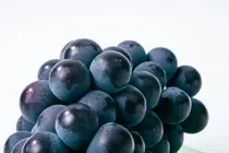 10 Reasons Grapes Are Good for You—Even If You Have Diabetes