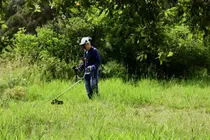 6 in 10 Snakebite Victims Hospitalized: September Outdoor Work and Grave Tending Pose Highest Risk