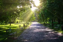 Why Some Parts of Seoul Feel Hotter Than Others: The Cooling Power of Urban Trees