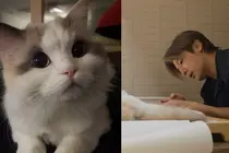 “从未有过如此锥心的悲痛”：CNBLUE姜敏赫告别爱猫“奇奇”