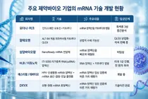 20 раз больше мРНК: Samyang Biopharm подтвердила потенциал «NanoReady» как носителя для противораковых вакцин