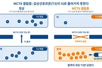 FDA批准MCT8缺乏症首款疗法：甲状腺激素“脑内不足、全身过量”的罕见遗传病迎来新药