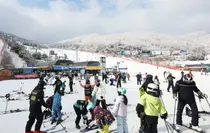 Be Careful of 'Holiday Heart Syndrome' When Enjoying Outdoor Activities in Cold Winter!