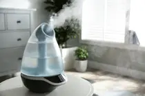 Humidificateur indispensable en hiver, où doit-on le placer ?