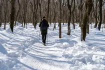 « Randonnée d'hiver, n'est-ce pas tous pareil ? » Trekking vs randonnée, la préparation est différente... qu'est-ce que c'est ?