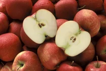 Une casserole brûlée, la peau de pomme peut être nettoyée en 10 minutes