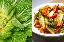 Des légumes de saison qui restent verts même en plein hiver, plus il fait froid, plus ils sont délicieux ?