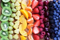 Protecting the Aging Brain: How Vitamin C Preserves Gray Matter and Neural Networks