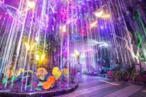 Escaping the Heat Underground: From Colonial Gold Mines to Media Art and Natural Wonders in Korea’s History-Rich Caves