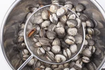 “Tidak peduli seberapa banyak dicuci, kerang tetap mengeluarkan pasir”… Cara membersihkan kerang yang mengeluarkan pasir dan lumpur