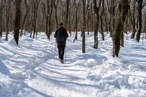 「冬の登山、みんな同じじゃない？」トレッキング vs 登山、準備から違う… 何が違うのか？
