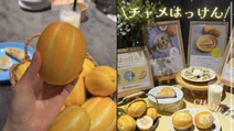 Graines de melon coréen : vraiment responsables des maux de ventre ? Les idées reçues autour du « Korean melon », aussi prisé au Japon
