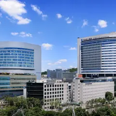 Bệnh viện Severance, Hàn Quốc đứng thứ 6 thế giới về chấn thương chỉnh hình: Ngoại thần kinh, sản phụ khoa cũng dẫn đầu trong nước