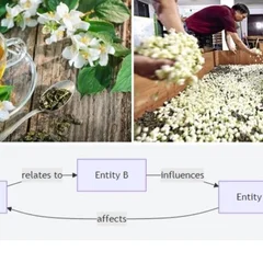 Scentless Tea and Ineffective Medicine: The Hidden Conditions of 