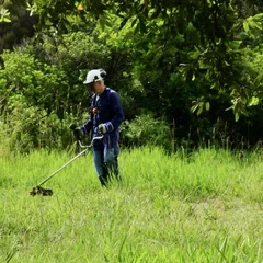 6 in 10 Snakebite Victims Hospitalized: September Outdoor Work and Grave Tending Pose Highest Risk