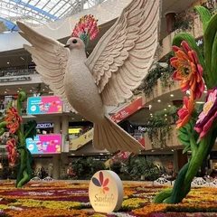 Flowers, Spring Breezes, and Restful Sleep: Medellin Recasts Itself as a Healing City