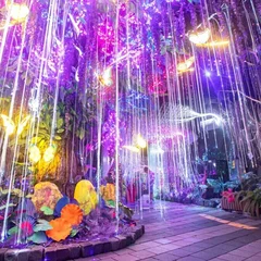 Escaping the Heat Underground: From Colonial Gold Mines to Media Art and Natural Wonders in Korea’s History-Rich Caves