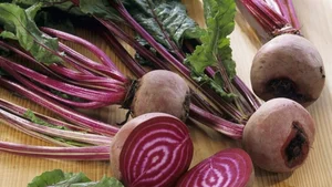 对血管健康有益的甜菜：也有可能对肝脏造成负担的摄入方法