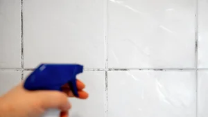 From Eliminating Odors to Cleaning Grout: The Power of Household Items You Already Have