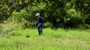 6 in 10 Snakebite Victims Hospitalized: September Outdoor Work and Grave Tending Pose Highest Risk