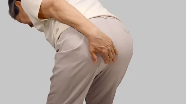 The 