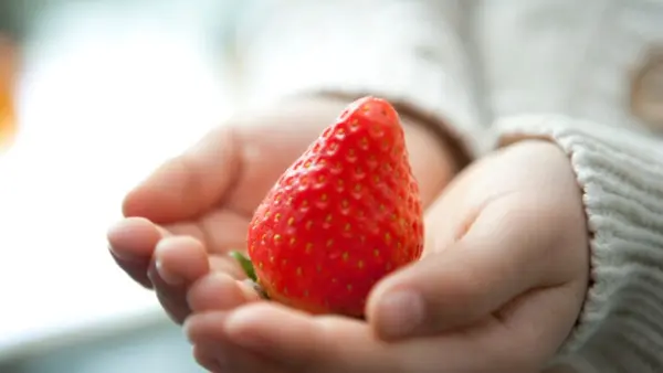 Boosting Natural Healing: Using Diet to Combat Chronic Inflammation