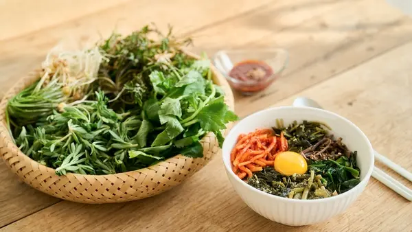 The Autopilot of Metabolism: Why Your Health is Decided Before You Swallow
