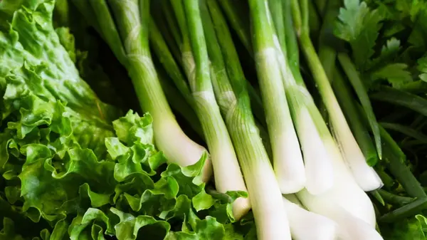 Stop Washing Your Lettuce: The Secret Storage Hack to Keep Greens Fresh for a Month