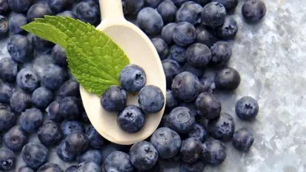 Cold, Hard Facts: Why Frozen Blueberries Might Outshine Fresh Produce