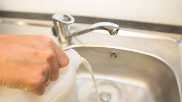 Don't Pour It Down the Drain: Clever Ways to Repurpose and Safely Dispose of Spoiled Milk