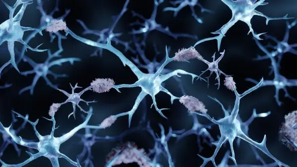 Amyloid Is Not the Only Culprit: GRK2 Protein Emerges as New Target in Alzheimer’s Fight